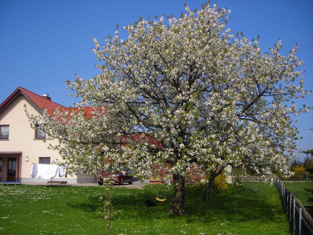 Ferienwohnung Gisela Kaestner Stolpen Habitación foto